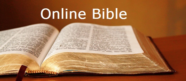 Bible na internetu
